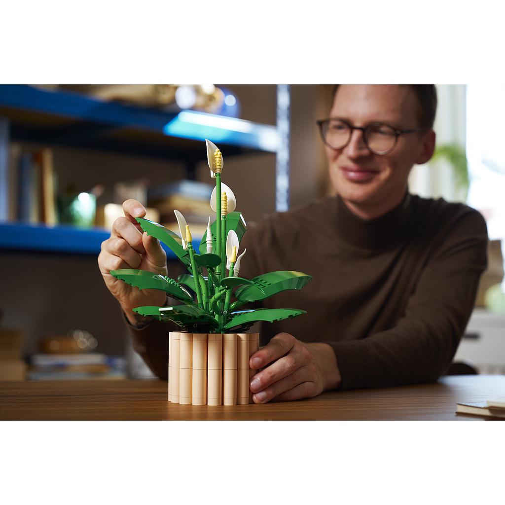 lego_botanicals_tõlvlehik_11504L_6