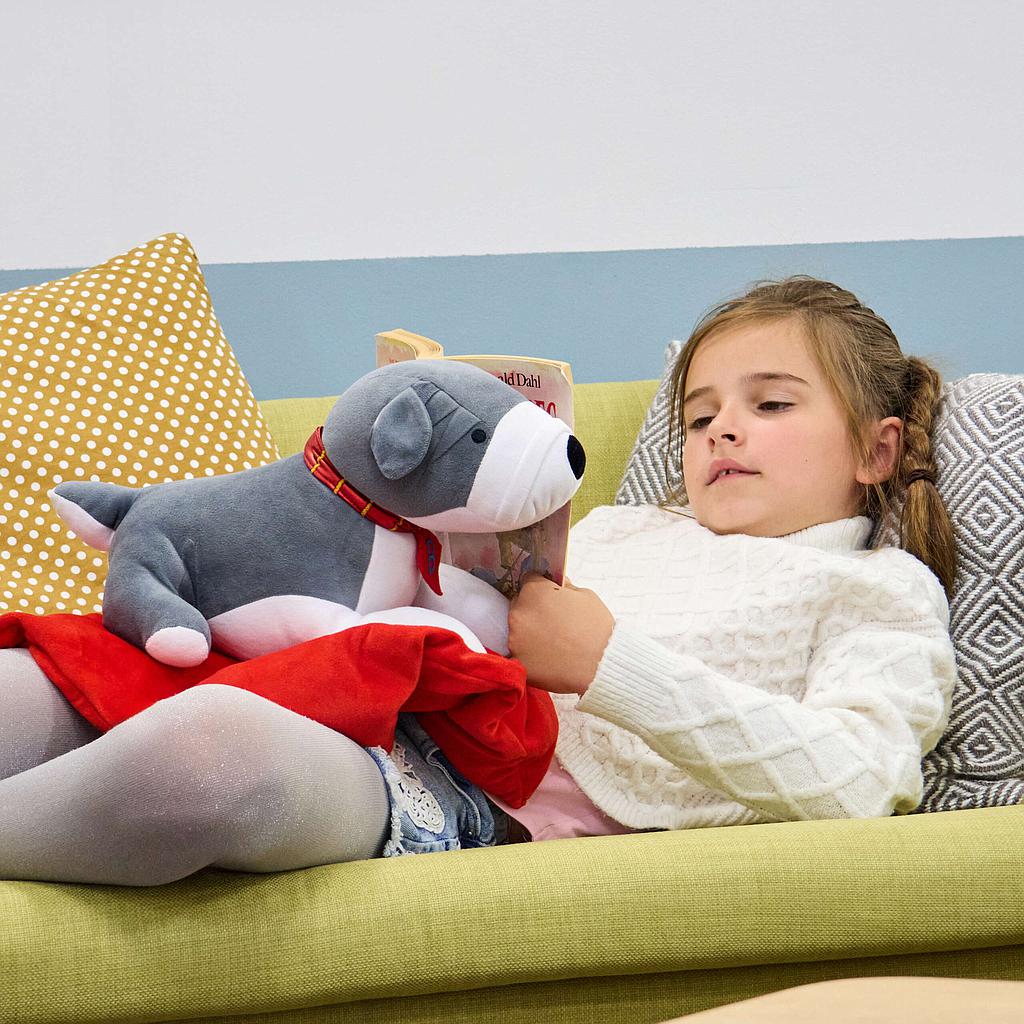 tts_raskusloom_sületekiga_-_šnautser_koer_1,36kg_SD12678B_1