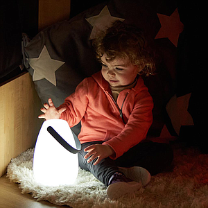 TTS Light Up Lanterns 2pk