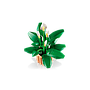 lego_botanicals_tõlvlehik_11504L_4